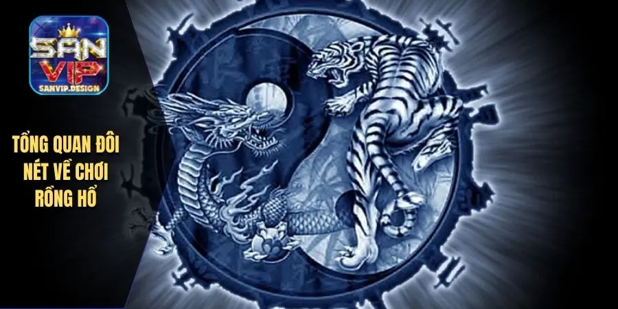 Tổng quan đôi nét về chơi rồng hổ