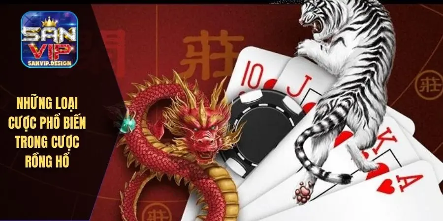 Những loại cược phổ biến trong cược rồng hổ 